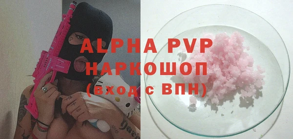 крисы Новозыбков