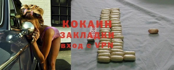 крисы Новозыбков