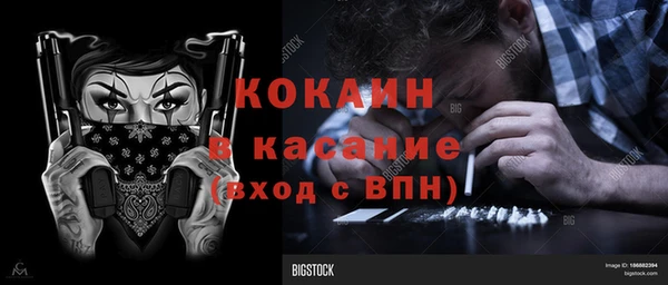 крисы Новозыбков