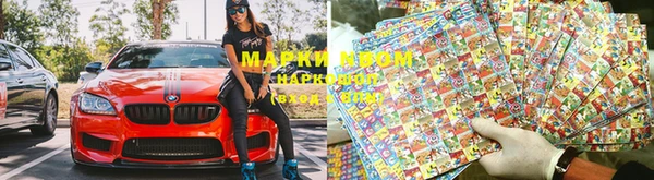 крисы Новозыбков