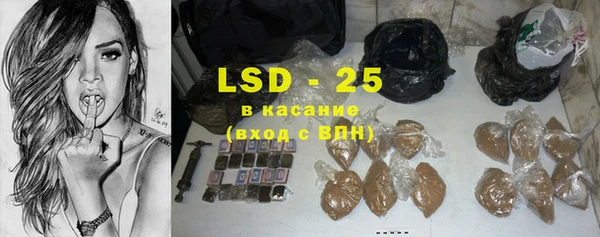 крисы Новозыбков
