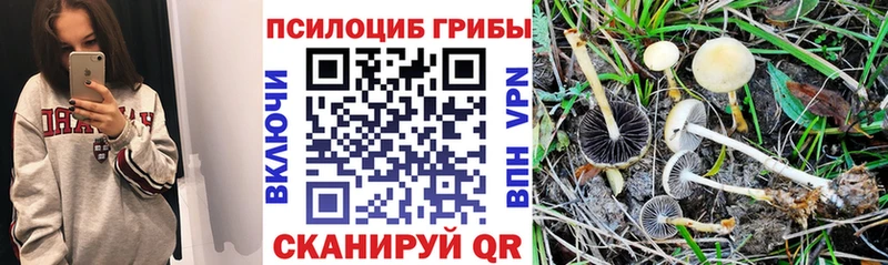 Галлюциногенные грибы GOLDEN TEACHER Уссурийск