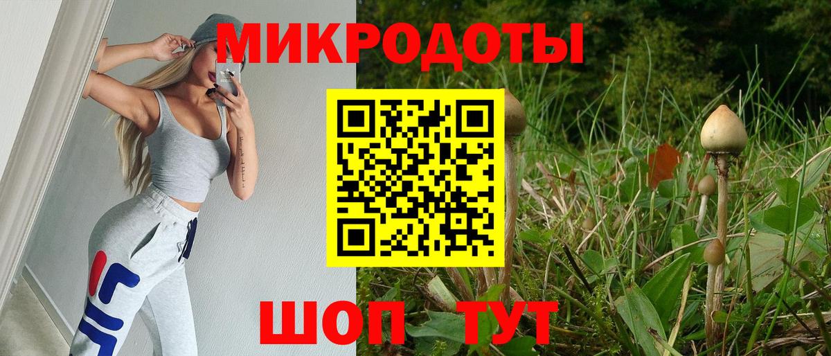 Галлюциногенные грибы Psilocybe Уссурийск