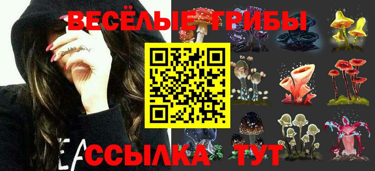 Псилоцибиновые грибы мицелий  Уссурийск 