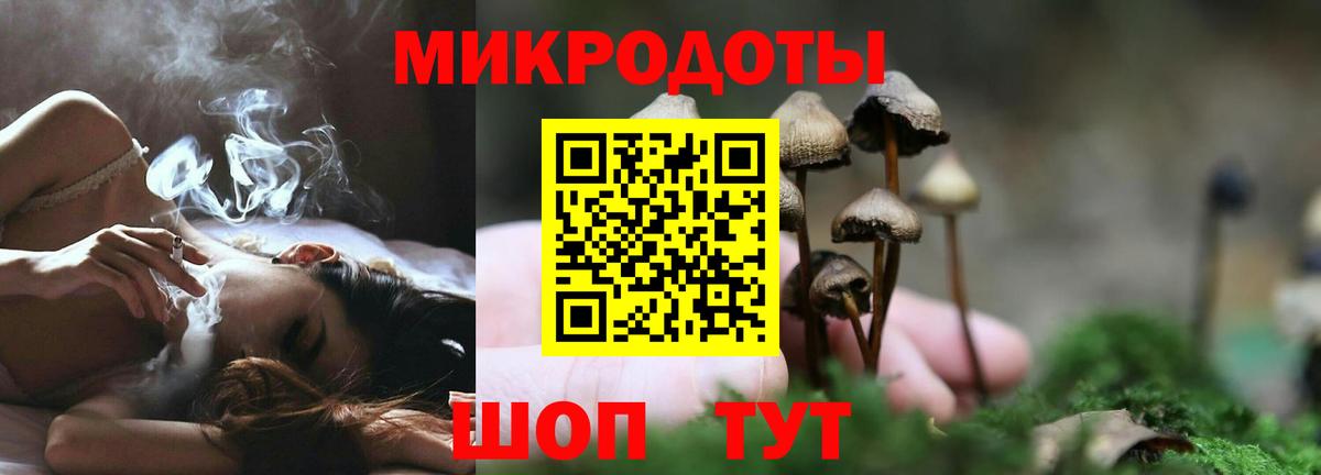 Псилоцибиновые грибы мицелий Уссурийск